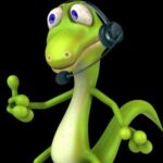 Profile photo of SFS